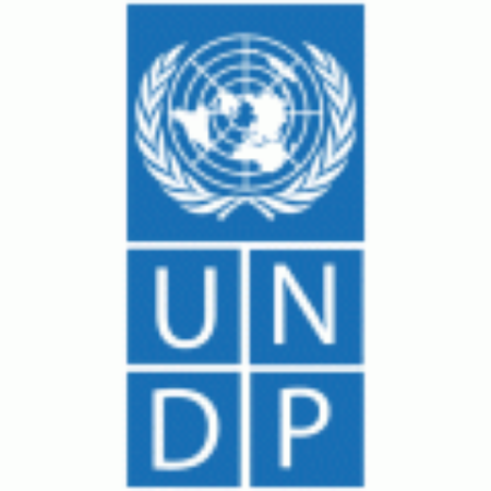 UNDP